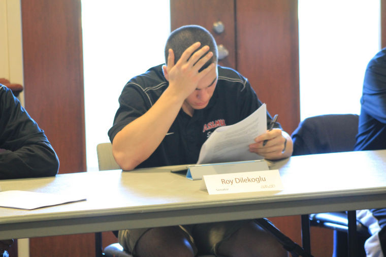 Photo Credit: Liana Bandziulis